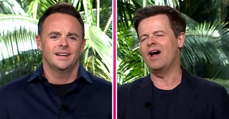 Ant and Dec with divider