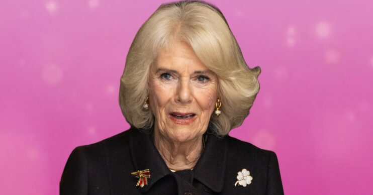 Queen Camilla during royal engagement in front of pink ED background