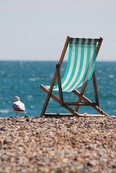 A deckchair and a seagull overlooking the sea
