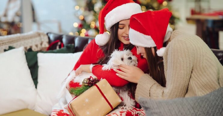 Women kissing a dog while wearing santa hats
