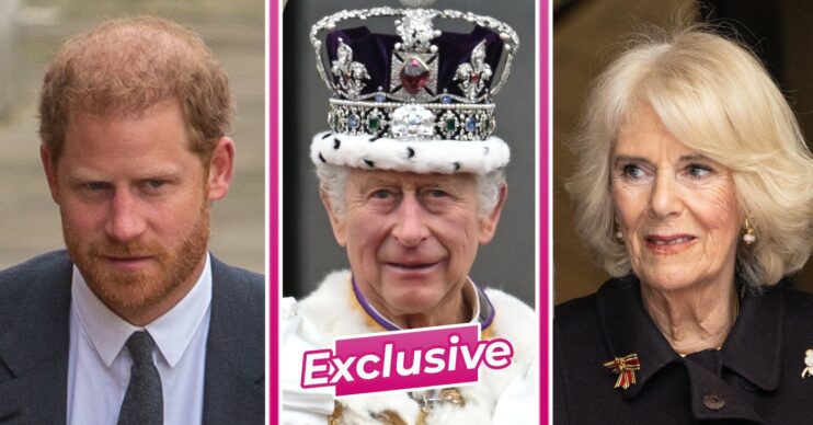 Prince Harry / King Charles / Camilla