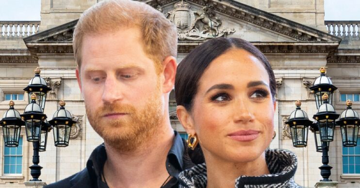 Harry looks down and Meghan smiles in front of Buckingham Palace