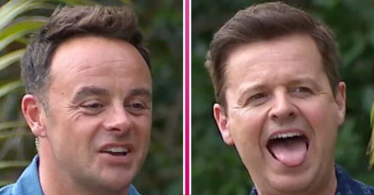 Ant and Dec on I'm A Celebrity first task preview comp image