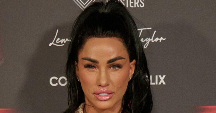 Katie Price on the red carpet