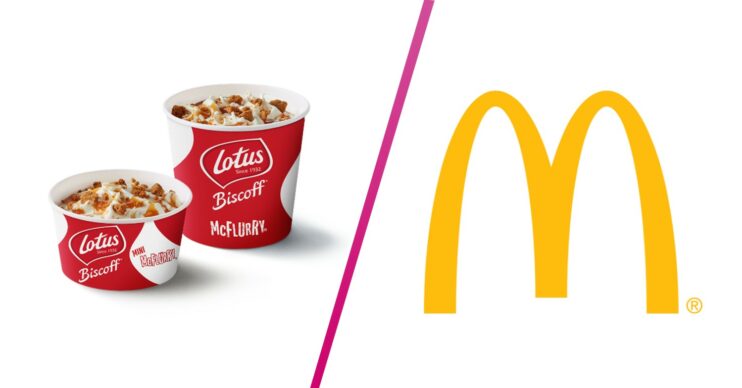 Lotus Biscoff McFlurry and McDonalds logo