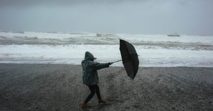 Person on rainy beach with umbrella