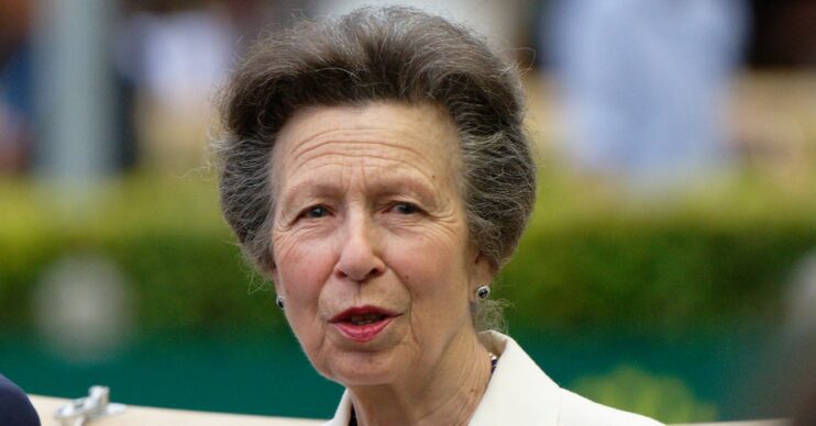 Princess Anne in carriage at races