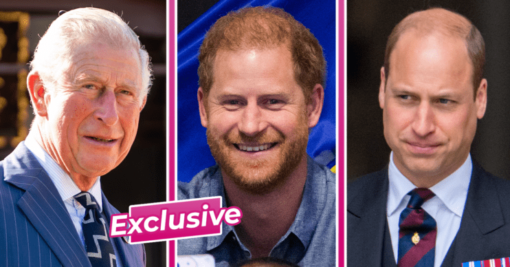 King Charles, Prince Harry and Prince William smiling